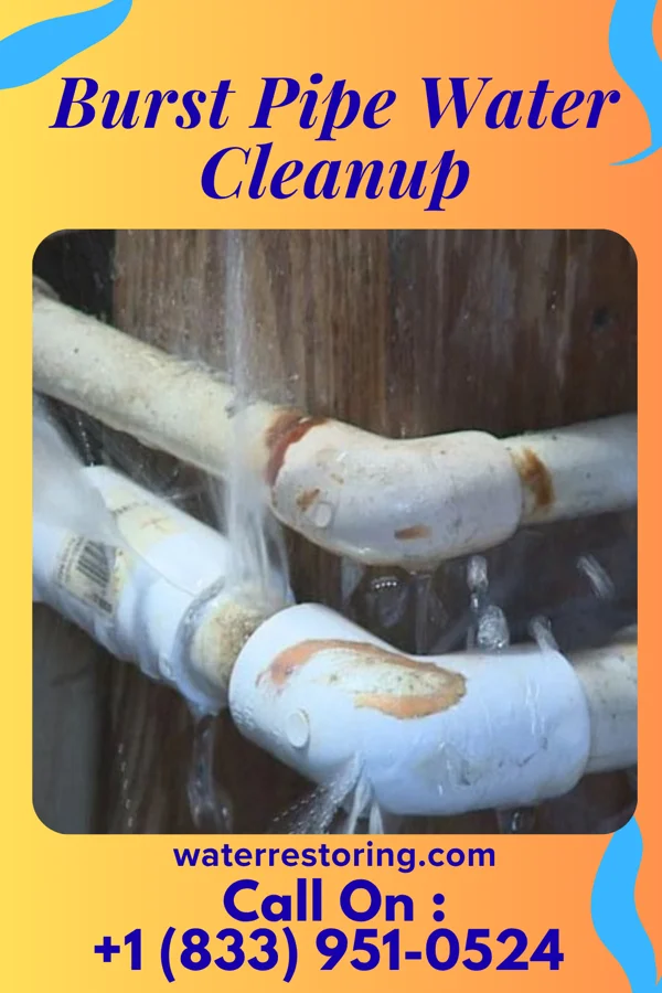 Burst Pipe Water Cleanup in Weeki Wachee, FL